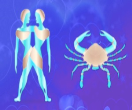 Top 10 Career Options for Gemini and Cancer