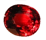 garnet gomed