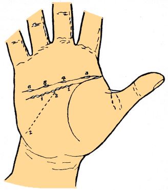 head line variations palmistry