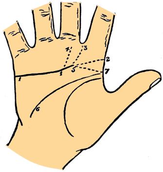head line variations palmistry