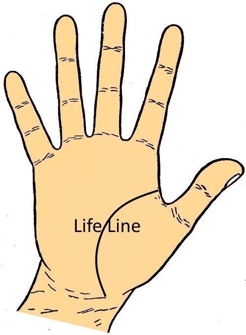 Life Line in Palmistry