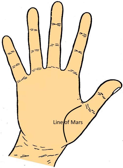 Line of Mars in Palmistry