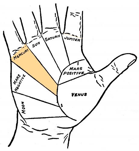 Mount of Mercury in Palmistry