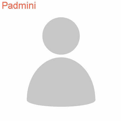 padmini Numerology