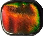 ammolite